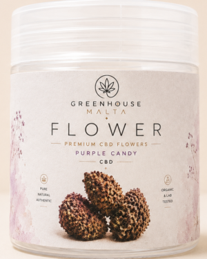 CBD Flower Purple Candy